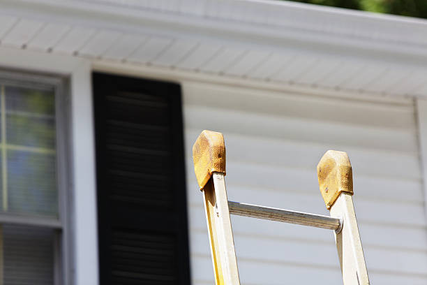 Best Siding Painting and Refinishing  in Wolcottville, IN