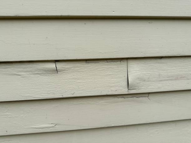 Best Siding Painting and Refinishing  in Wolcottville, IN